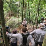 Event: Jungle Skills Course (Deposit) 25th-26th July 2026